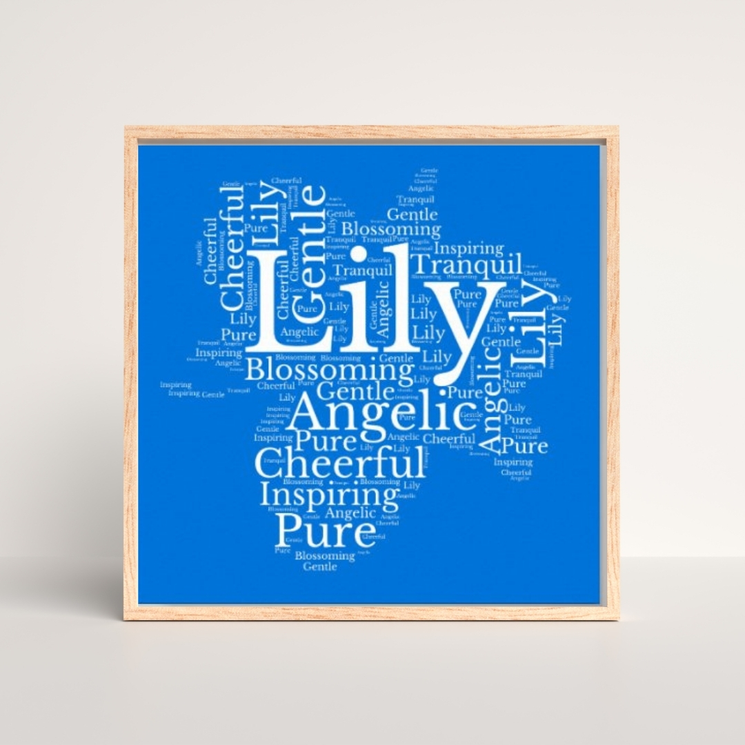 Lily feature image