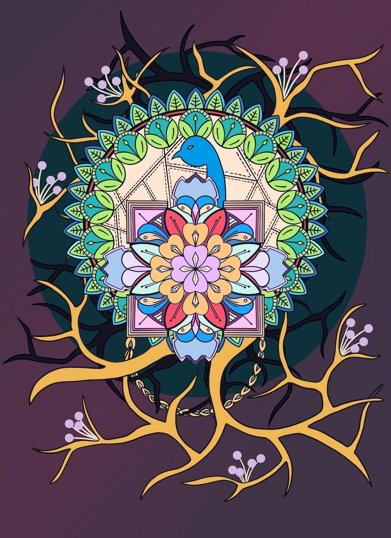 Peacock-shielded